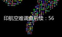 印航空难调查后续
：56岁机长成焦点人物

，调查人员正审查飞行员的医疗记录