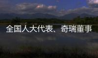 全国人大代表、奇瑞董事长尹同跃：恶性竞争的“价格战”伤人伤己