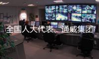全国人大代表
、通威集团董事局主席刘汉元：构建综合性储能系统迫在眉睫