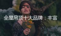 全屋吊顶十大品牌：丰富产品线 发挥自身优势