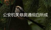 公安机关悬赏通缉白所成	、魏怀仁等10名缅北果敢电诈头目