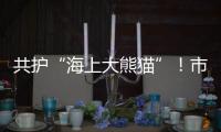 共护“海上大熊猫”！市民积极参与中华白海豚保护宣传日活动