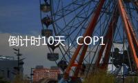 倒计时10天，COP15第二阶段会议如何化解分歧
？