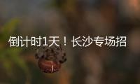 倒计时1天！长沙专场招聘均已就位， “粤”定你	，“职”等你！