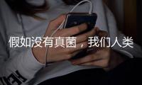 假如没有真菌，我们人类还能存活于地球吗	？