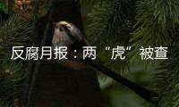 反腐月报�：两“虎”被查，三“虎”受处分