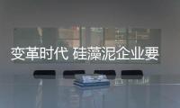 快排公司十年历程，霸屏兔 seo 的崛起与坚守