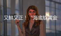 又鲜又正
！“海底软黄金” 珠海外伶仃海胆新鲜上岸
！