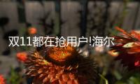 双11都在抢用户!海尔热水器8分钟破亿	，够快!