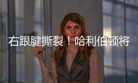 右跟腱撕裂！哈利伯顿将缺席2025