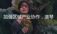 加强区域产业协作，澳琴组团赴华东地区招商引资