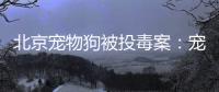 北京宠物狗被投毒案：宠物如何定价，犬主能否诉精神赔偿