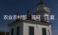 农业农村部：抓好“三夏”生产 努力夺取全年粮食丰收