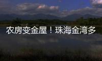 农房变金屋！珠海金湾多措并举盘活闲置农房