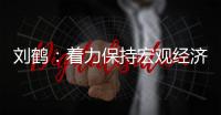 刘鹤	：着力保持宏观经济稳定 避免大起大落