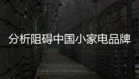 快排公司十年历程，霸屏兔 seo 的崛起与坚守