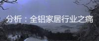 分析	：全铝家居行业之痛