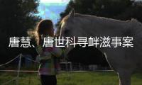 唐慧
、唐世科寻衅滋事案公开宣判