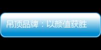 吊顶品牌：以颜值获胜 以品质为王