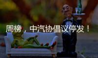 周榜，中汽协倡议停发	！