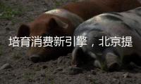 培育消费新引擎，北京提出规范发展“谷子经济”