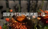 国家乡村振兴局亮相，挂上这块牌子意味着什么

？