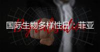 国际生物多样性日：菲亚特动力科技助力特提斯研究所地中海鲸目动物和海洋环境