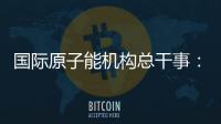 国际原子能机构总干事
：支持伊美就核问题举行谈判