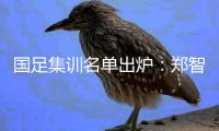 国足集训名单出炉：郑智落选 两U23新星入选