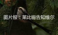 图片报	：莱比锡告知维尔纳将不再上场�，唯一下家或为纽约红牛