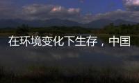 在环境变化下生存，中国十大管业品牌以最快的速度做调整