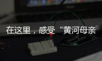 在这里
	，感受“黄河母亲”的大爱