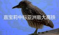 快排公司十年历程，霸屏兔 seo 的崛起与坚守