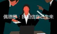快排公司十年历程，霸屏兔 seo 的崛起与坚守
