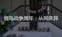 俄乌战争周年：从同床异梦到同室操戈