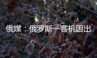 俄媒：俄罗斯一客机因出现技术故障返航