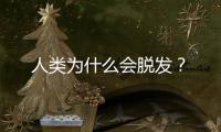 人类为什么会脱发
？