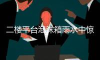 二楼平台泡沫箱雨水中惊现古老物种“仙女虾” 专家：虫卵或随鸟粪而来
