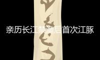 亲历长江禁渔后首次江豚科考	，在干旱的鄱阳湖寻找江豚