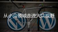 从小众领域走进大众视野 整理收纳师走俏为哪般	？