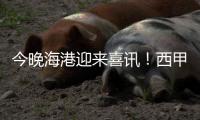今晚海港迎来喜讯！西甲中场猛将加盟，武磊力荐，巴尔加斯替代者