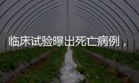 临床试验曝出死亡病例，阿尔茨海默新药前景几何？