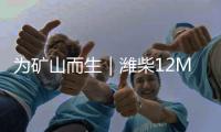 为矿山而生｜潍柴12M33矿山动力	
，坚固可靠 经济耐用
