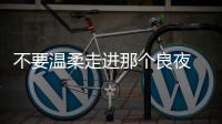 不要温柔走进那个良夜 零跑的下个10年