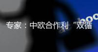 专家

：中欧合作利“双循环”运转
