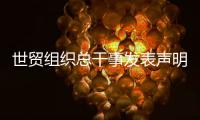 世贸组织总干事发表声明：欢迎中美经贸高层会谈取得积极成果