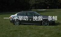 一个小举动，挽救一条鲜活生命！珠海504名快递员化身"城市哨兵"