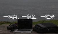 一棵菜�、一条鱼	、一粒米：年轻人热衷务农的“乡村振兴密码”