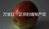 万宝红：正宗的缅甸产花梨木肯定是大果紫檀