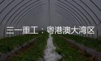 三一重工：粤港澳大湾区绿色运输新突破：新能源重卡开启跨境物流新纪元